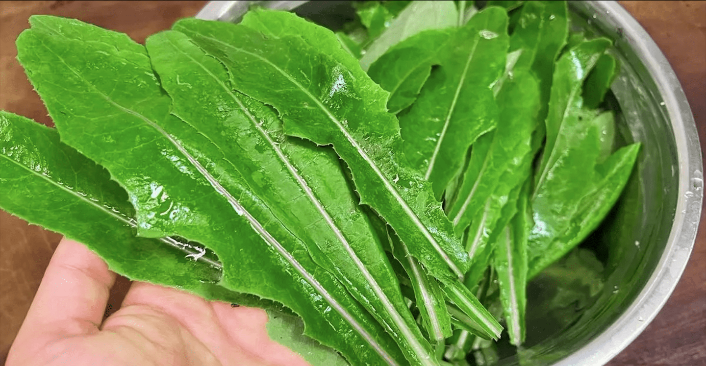 春酸夏苦秋辣冬咸 夏日美味曲曲芽 野菜 家鄉 大蒜 Standardscollector