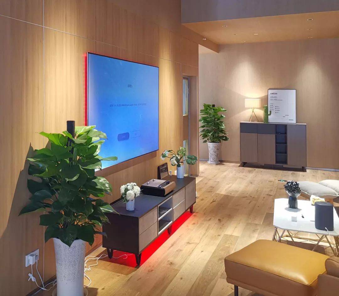 朗生墙板实景案例 | 国内最大小米生态链综合体验店_纹理_自然_板材