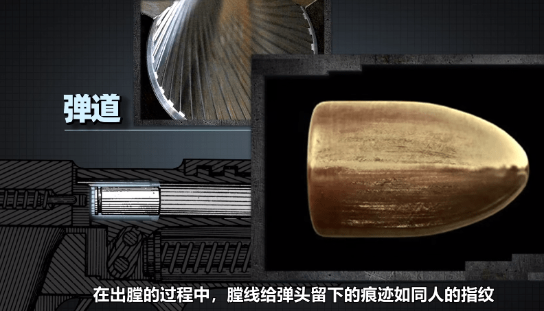 还原子弹飞行全过程_弹头_速度_膛线