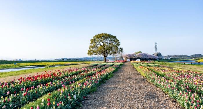 家电既有保质期还有保鲜期,消费升级要与时俱进!-家电圈官网