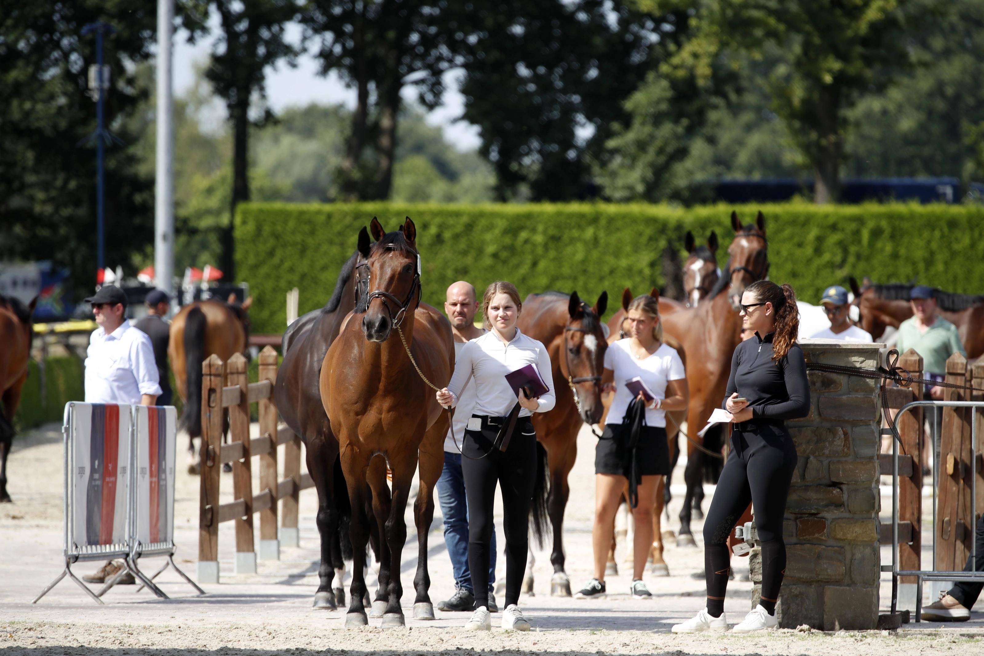 英国温莎国际皇家马术表演展览会