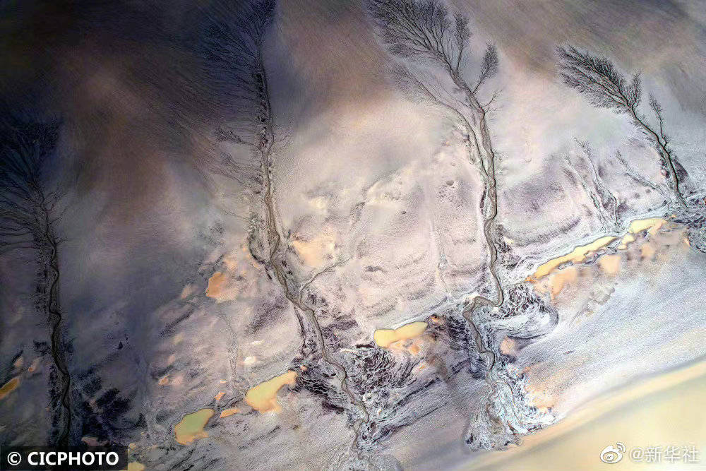 钱塘江入海口潮汐树宛如大地水墨画-搜狐大视野-搜狐新闻