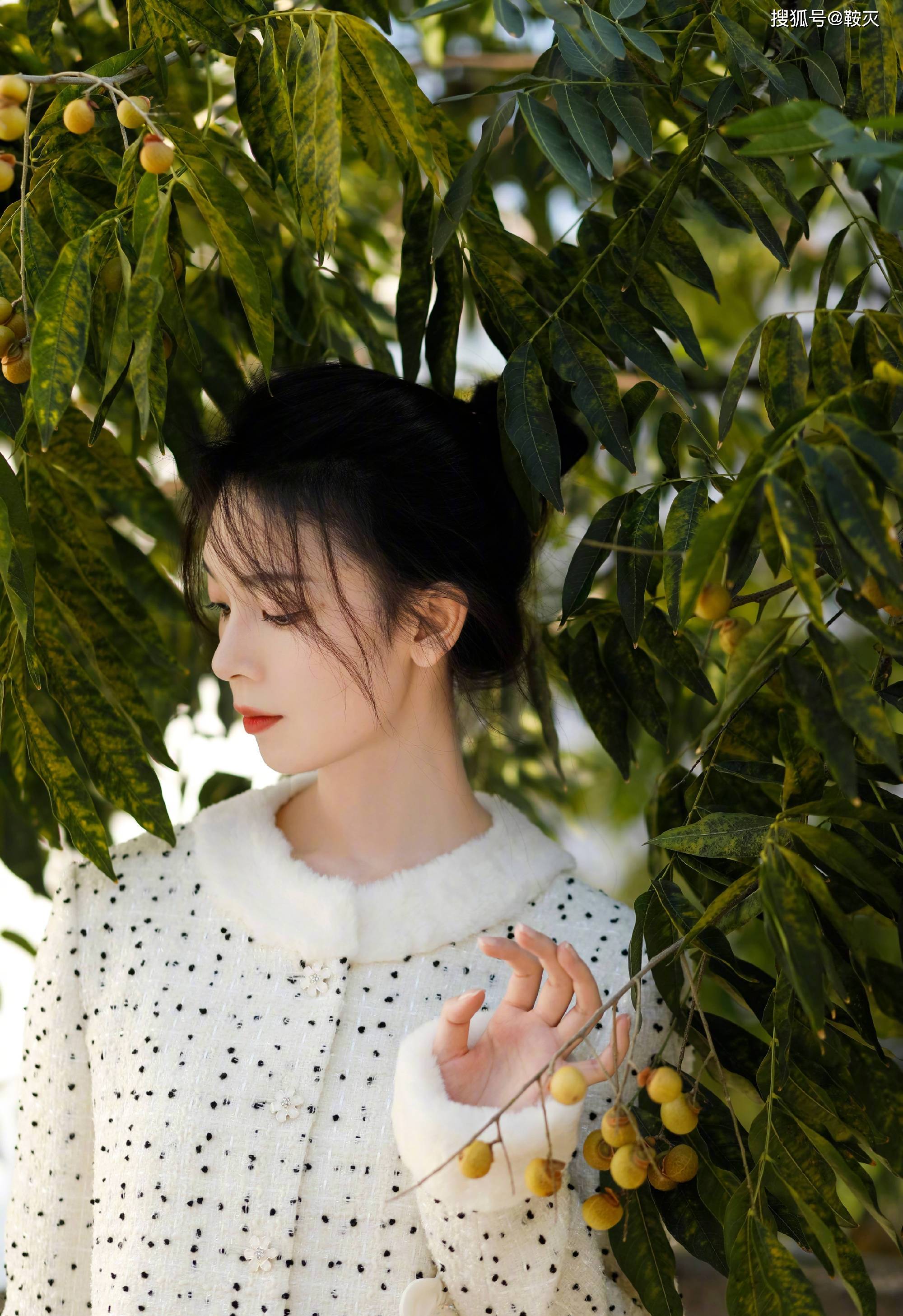 陈瑶穿小碎花服装拍写真,清新可人-搜狐大视野-搜狐新闻