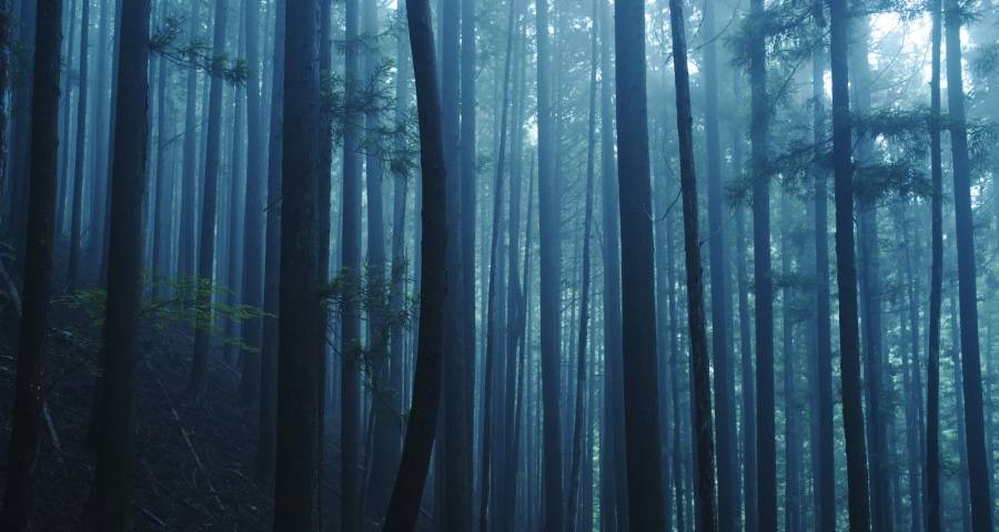 家电实体店的生意正在走向复苏-家电圈官网