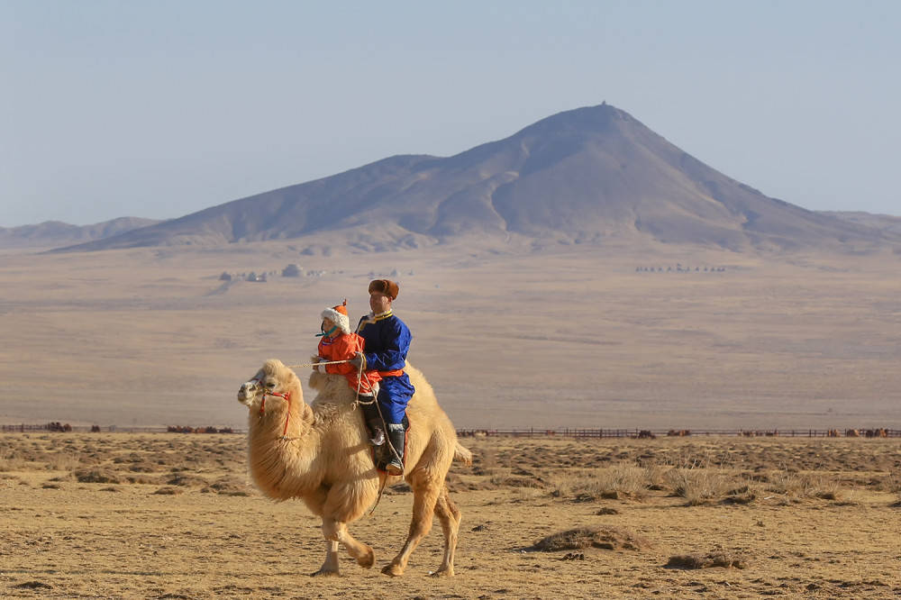 把信带给加西亚的另类解释_罗文_因为_古巴