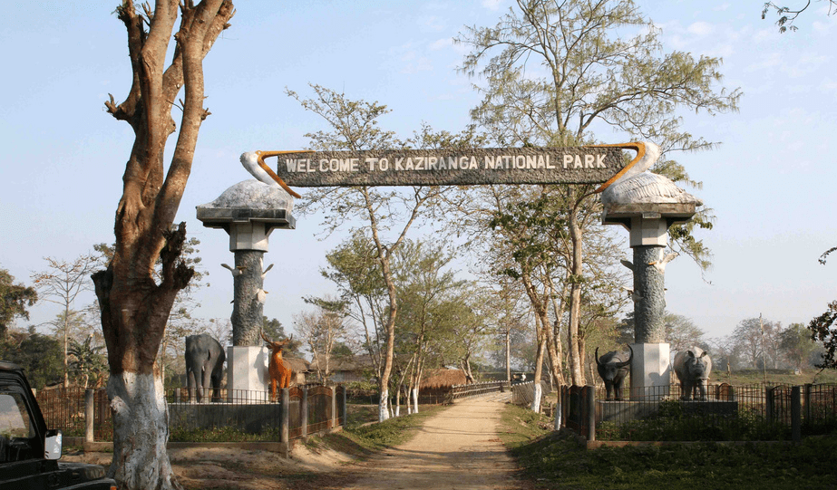 卡齐兰加国家公园!世界最大独角犀牛栖息地_气候_旅游_大象