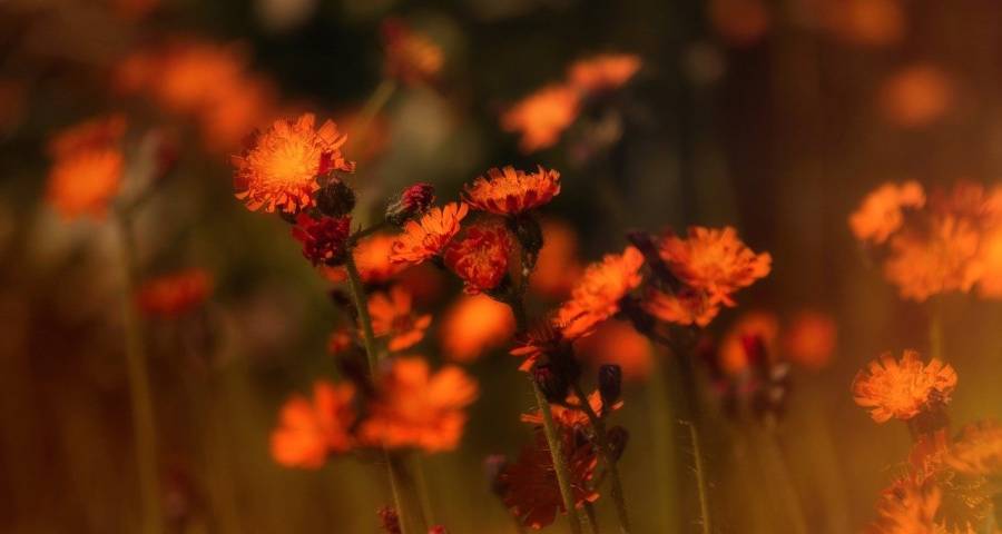 美的格力海尔三巨头领衔，空调市场2月激战打响-家电圈官网
