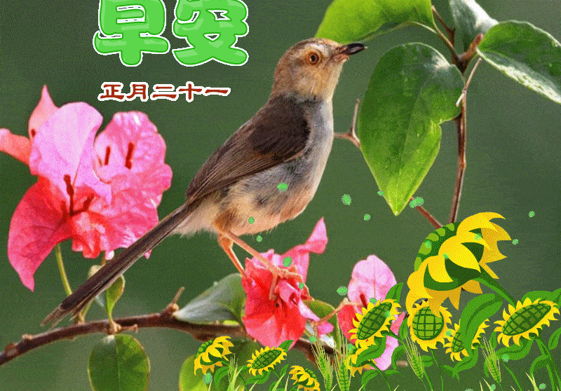 2023年2月11日正月二十一早上好问候祝福动态图片 周六最新早安问候