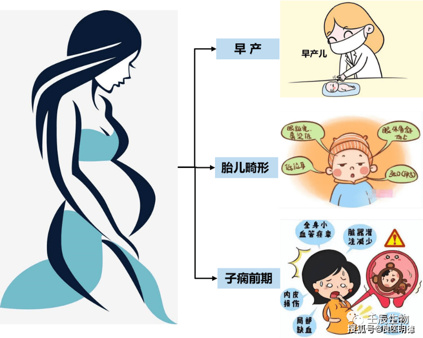 壬辰生物:春天到了,这个季节的孕产妇该注意什么?