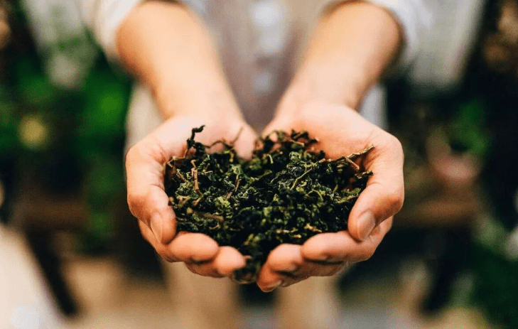 铁观音 虽有绿茶之色，花茶之香，却是独具风味的乌龙茶