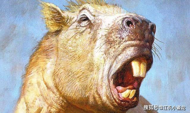 生活着许多已经灭绝的史前巨兽包括大地懒,后弓兽,雕齿兽等