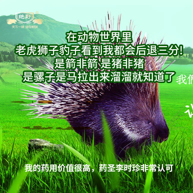 世界冠军助力诚勋科技集团魁梧华医大健康新农业认养农业_豪猪_动物