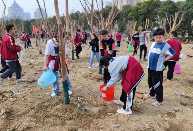 安徽省涡阳县实验中学:砥砺前行 奋楫扬帆_教育工委_亳州市_校园