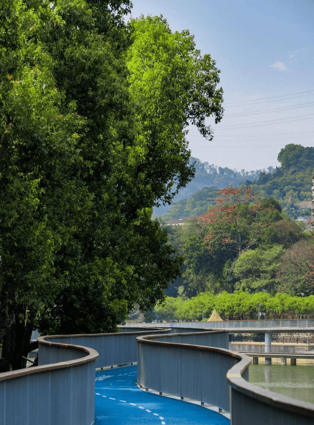 深圳环银湖水库碧道,要火!_设计_风景_栈道