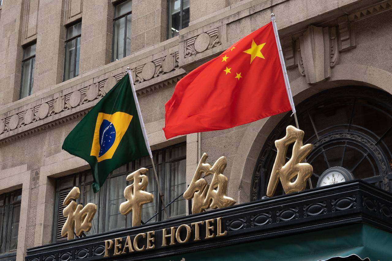 第五次中国行 巴西总统卢拉访华_开发_上海_银行