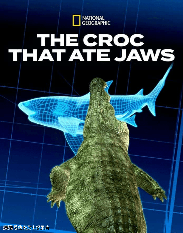 9065-国家地理《食鲨之鳄 The Croc That Ate Jaws 2021》英语中英双字 官方纯净版 1080P/MKV/2.51G 鳄鱼和短吻鳄