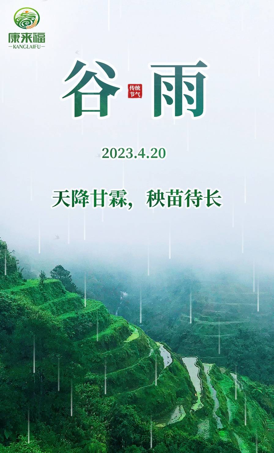 谷雨 | 天降甘霖,秧苗待长