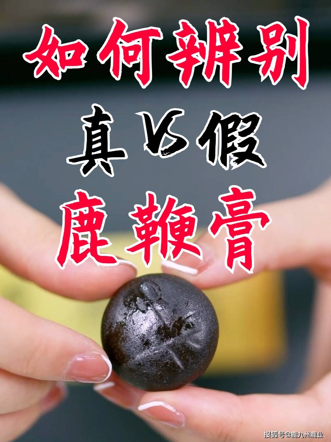 鹿鞭膏真假辨别的方法_传承_价格_梅花鹿