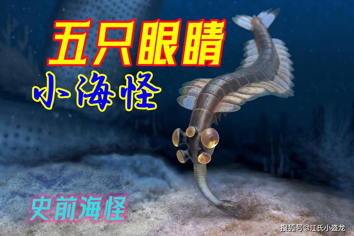 【海怪】5亿年前的五眼怪虾_欧巴宾_海蝎_眼睛