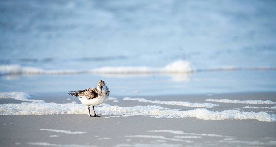 家电厂商淘汰速度和数量呈双增长-家电圈官网