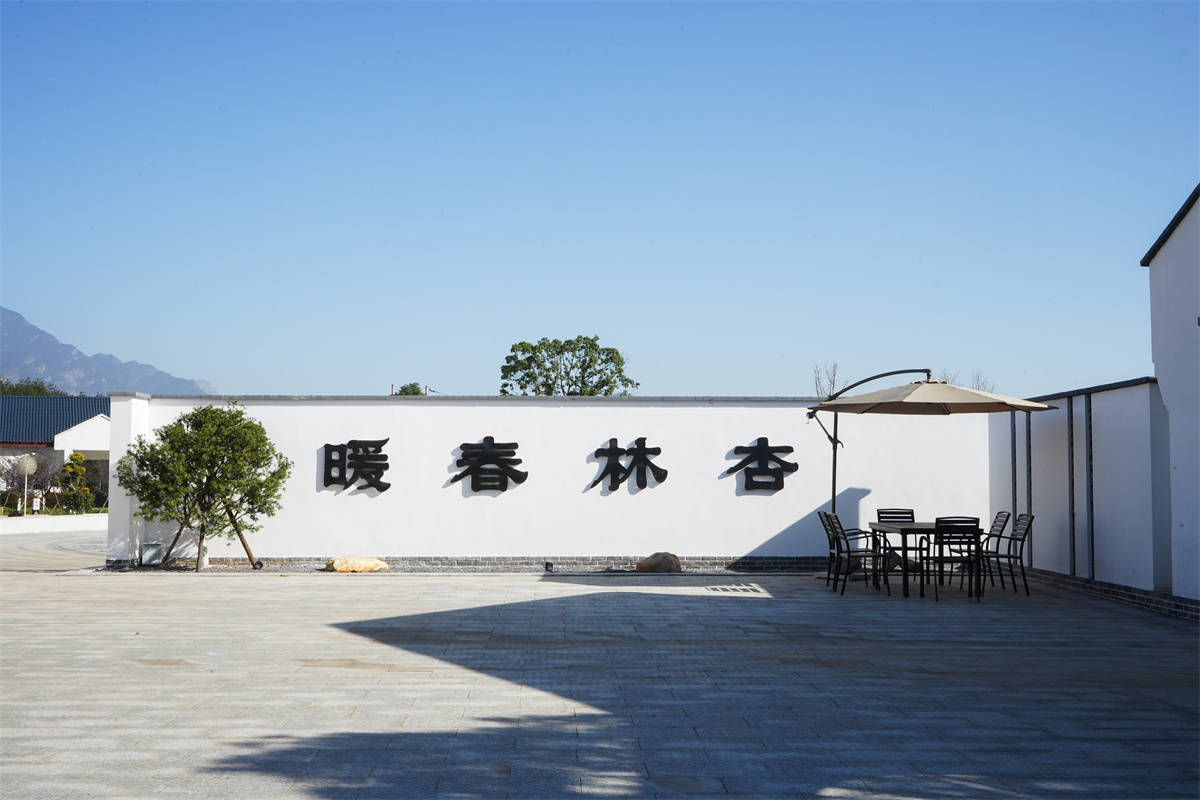 张仲景齐名的"杏林始祖"神医董奉像神医董奉与杏林春暖出发前在学校