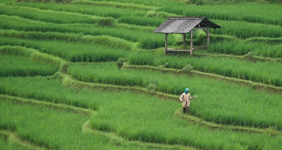 家用中央空调市场降维打击战正酣：美的领头VS大金日立-家电圈官网
