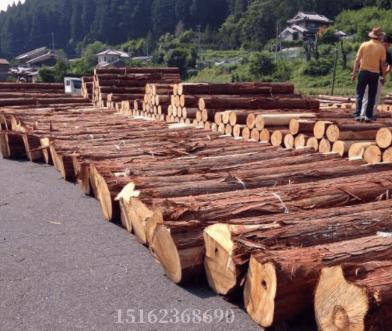 日本桧木什么味道好闻吗?_香气_是一种_相关因素