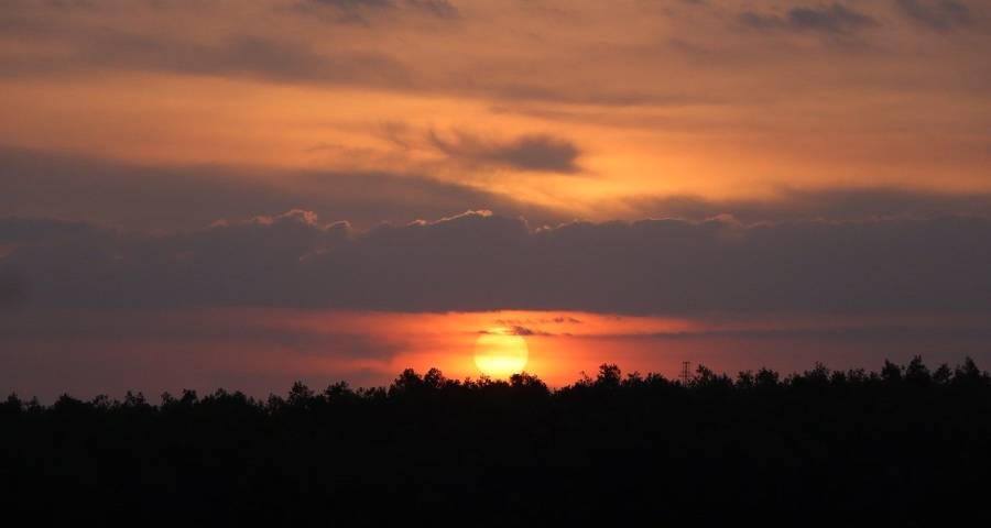 抢用户到抢同行，这个市场逻辑变了家电厂商知道吗？-家电圈官网