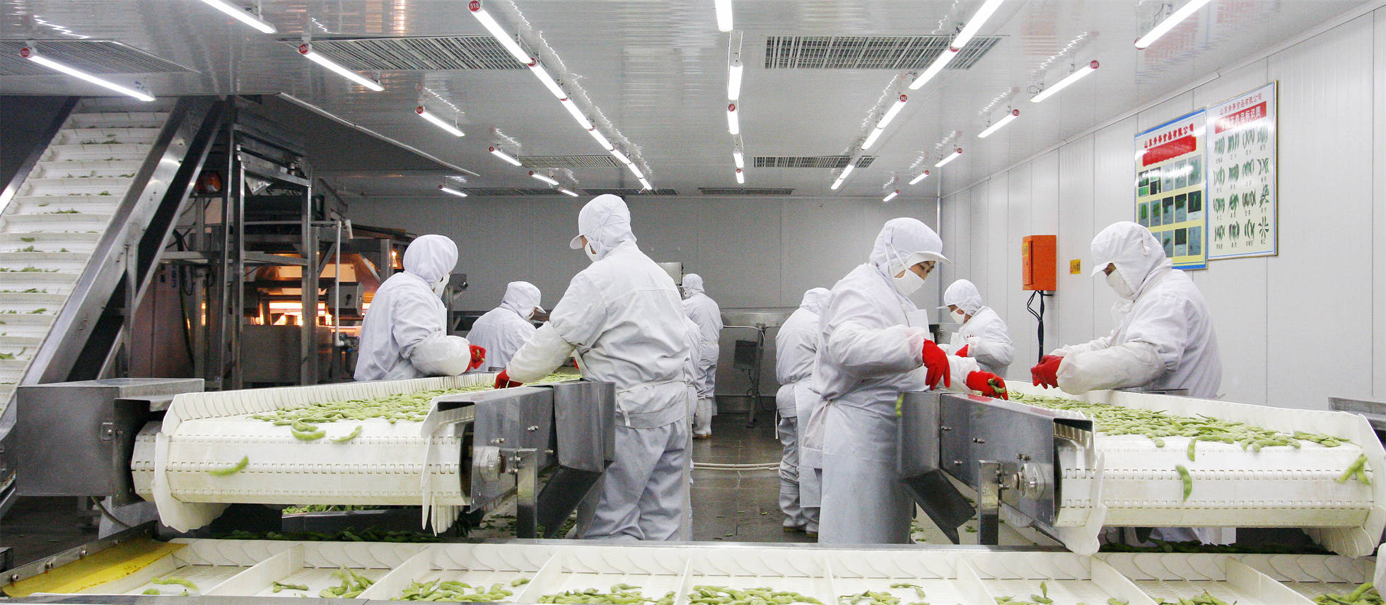 速冻果蔬产业如何"墙内开花里外香"_蔬菜_受到市场青睐_营养