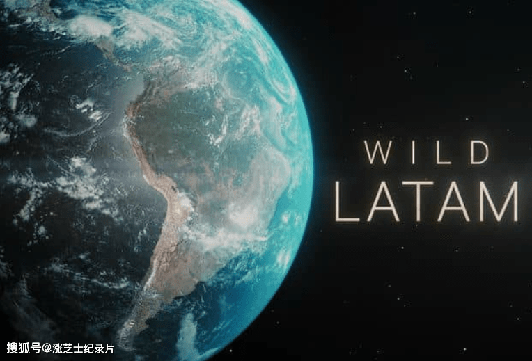 9152-西班牙纪录片《野性美洲 Wild Latam 2020》全10集 英语中英双字 官方纯净版 1080P/MKV/33.3G 美洲野生动物