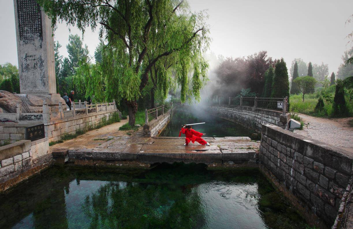 泗水县泉林镇:泉水叮咚,奏响乡村振兴"进行曲"_发展_建设_历史