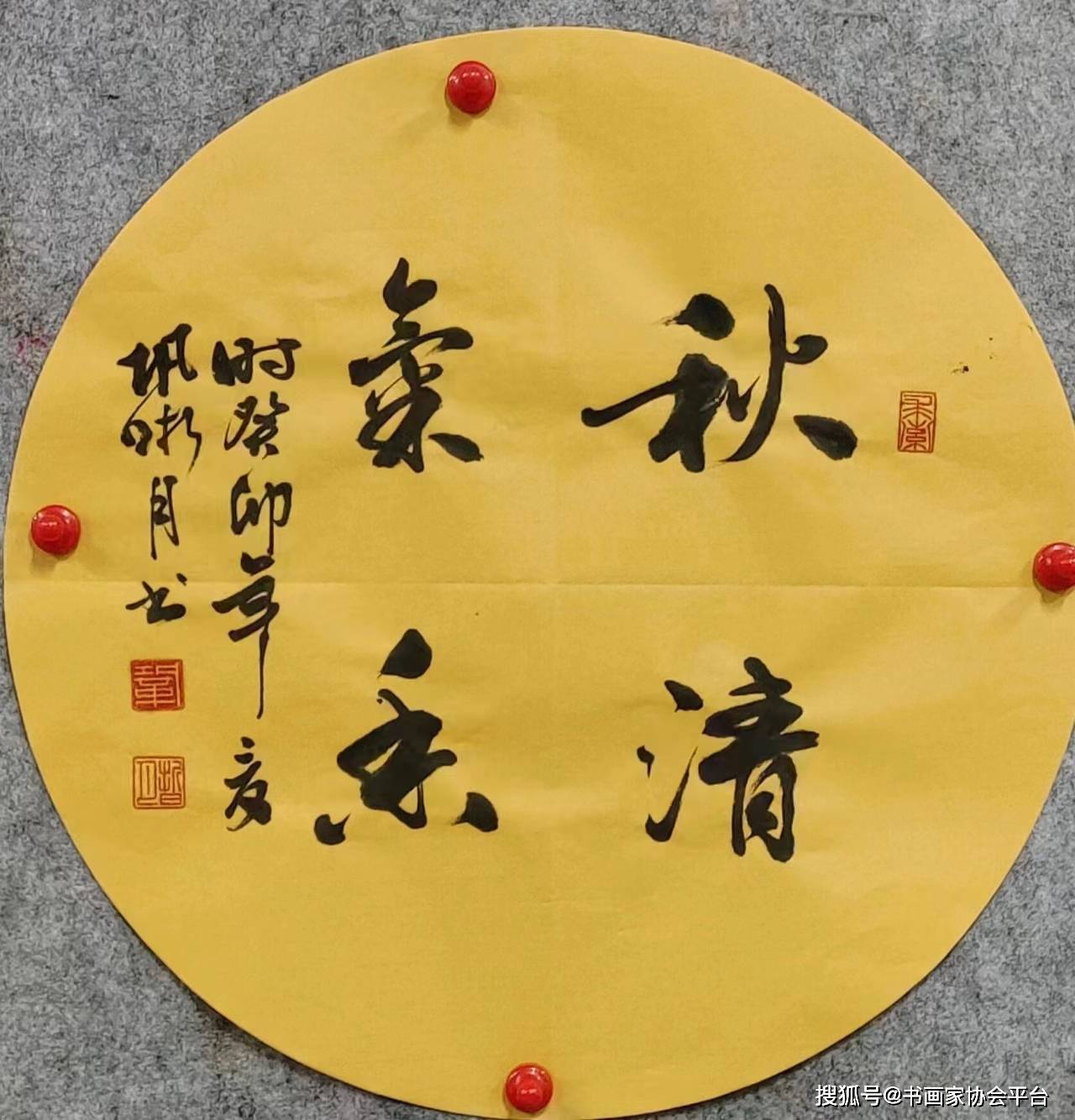 书法家巩晰月_获奖_无棣县_理想