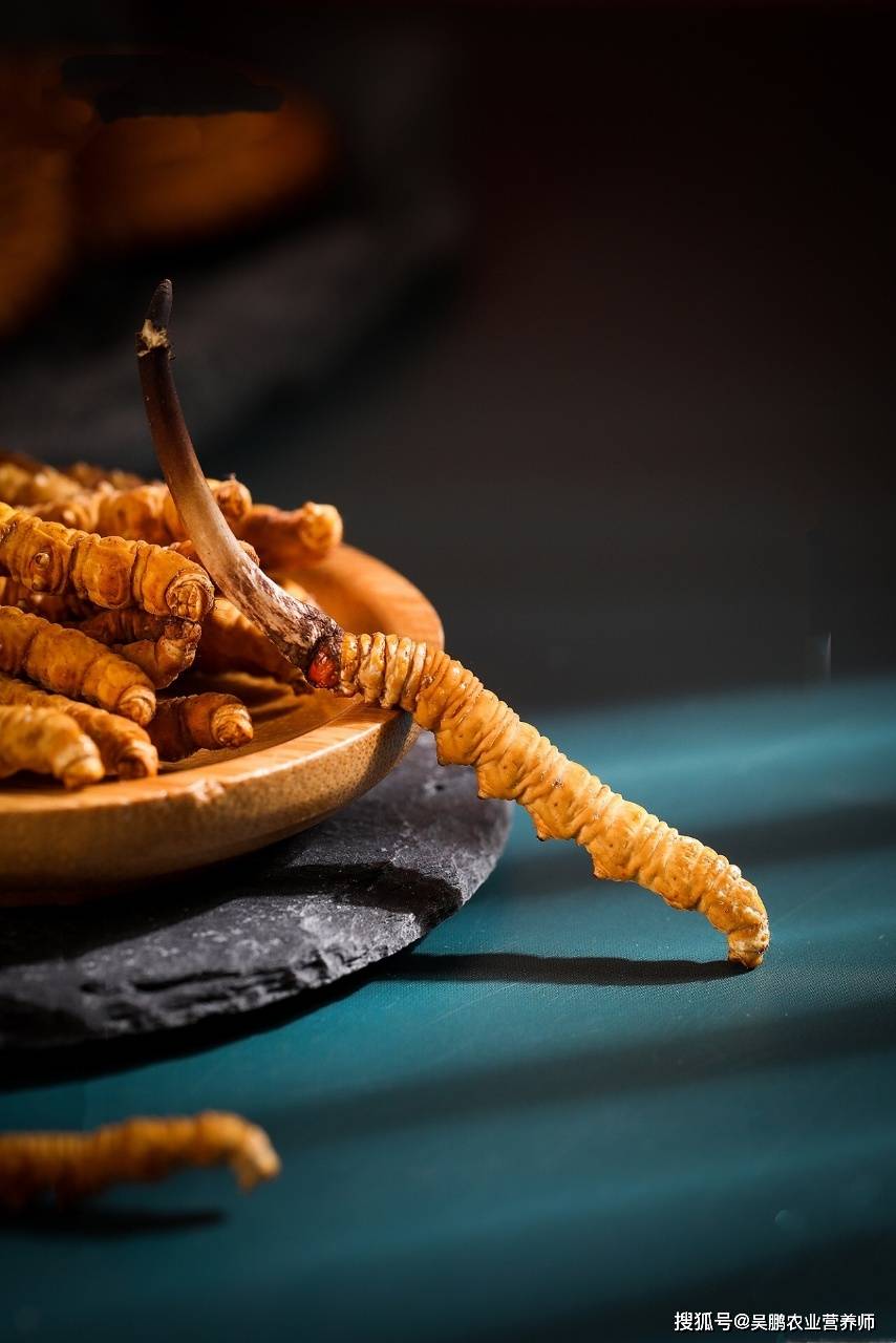 冬虫夏草_虫体_冷冻