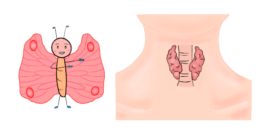 数字化转型图书《呵护你的甲状腺——变幻莫测的人体小蝴蝶》出版