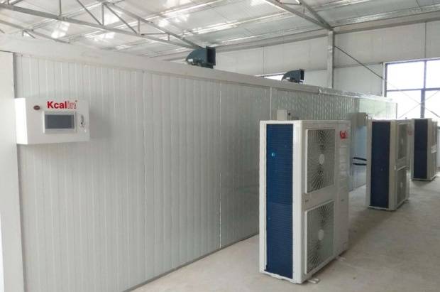 茶叶热泵烘干房：高效、环保的茶叶加工技术提升茶叶品质（福建小型茶叶烘干机）