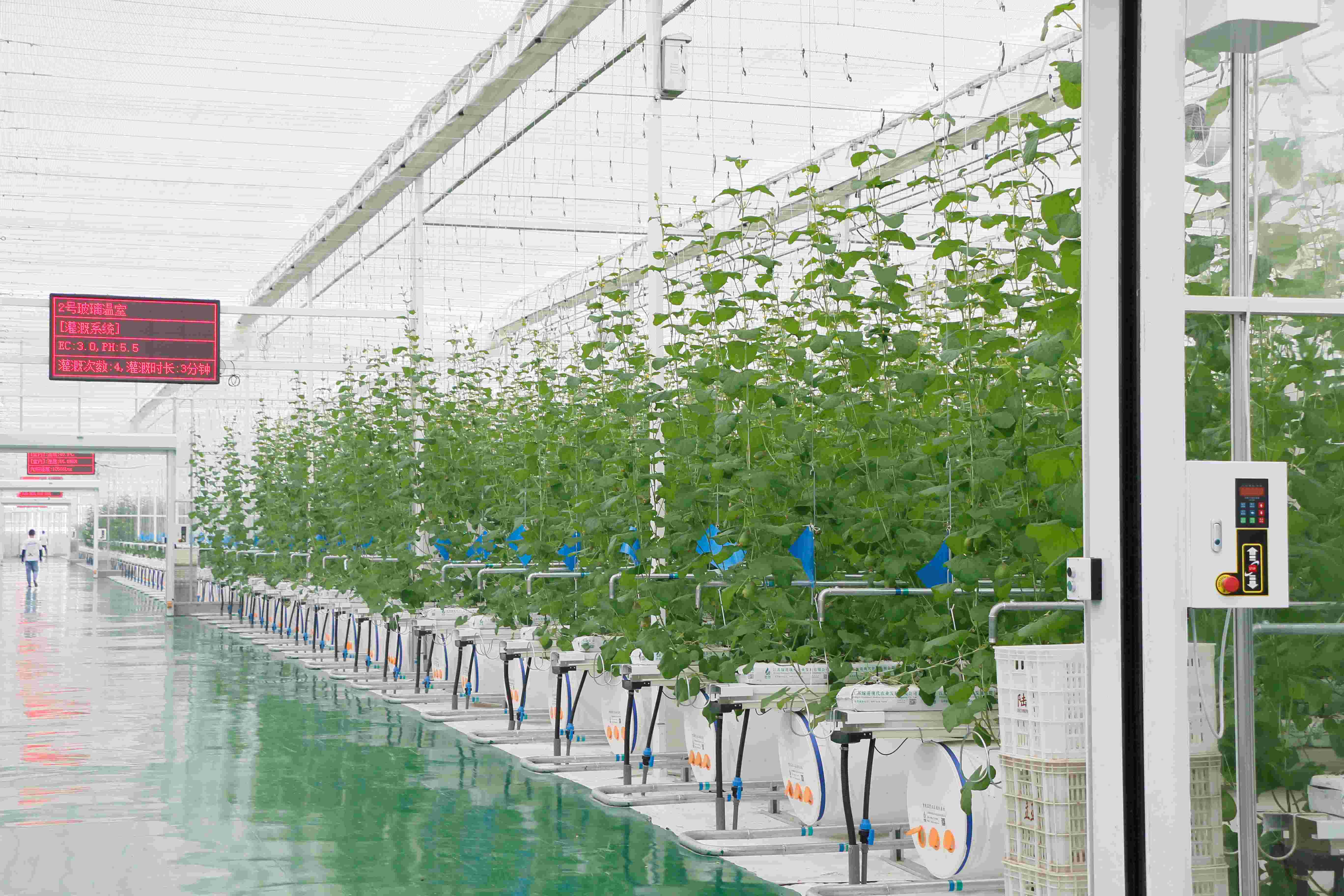 现代农业科技引领农产品种植新方向