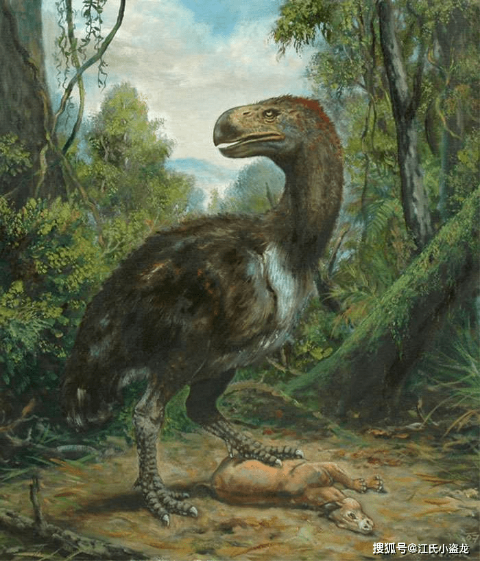 哺乳动物_猎物_加斯顿·普兰特