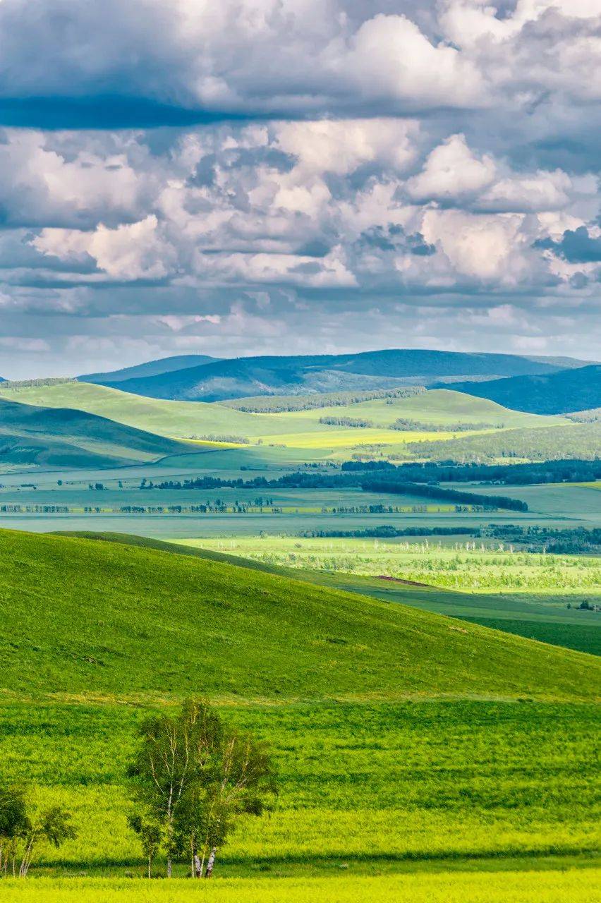 852_1280竖版 竖屏