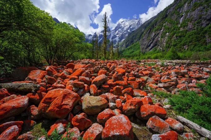 端午节成都周边露营徒步的路线推荐_康定_门票_甲根坝