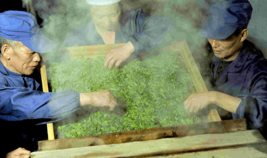 晒青绿茶工艺制作过程图片
