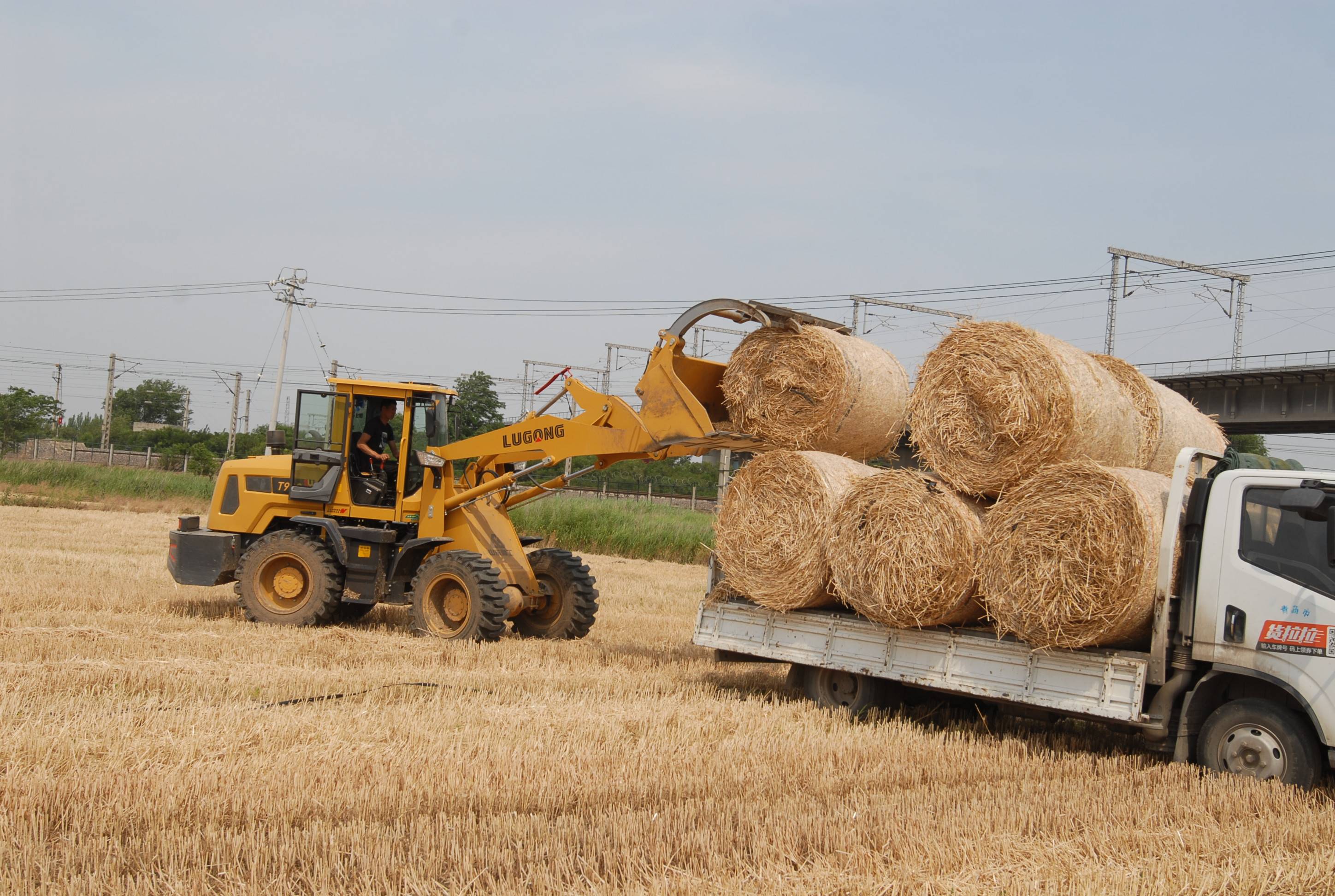 青岛即墨:小麦"秸"尽其用"变废为宝"_秸秆_打捆机_堆肥