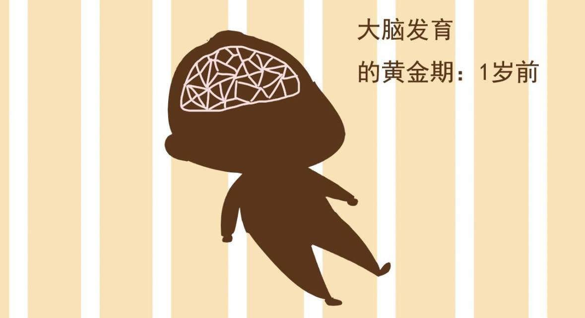 都说宝宝变聪明有关键期,那都有哪些关键期呢?_大脑_基本_成人