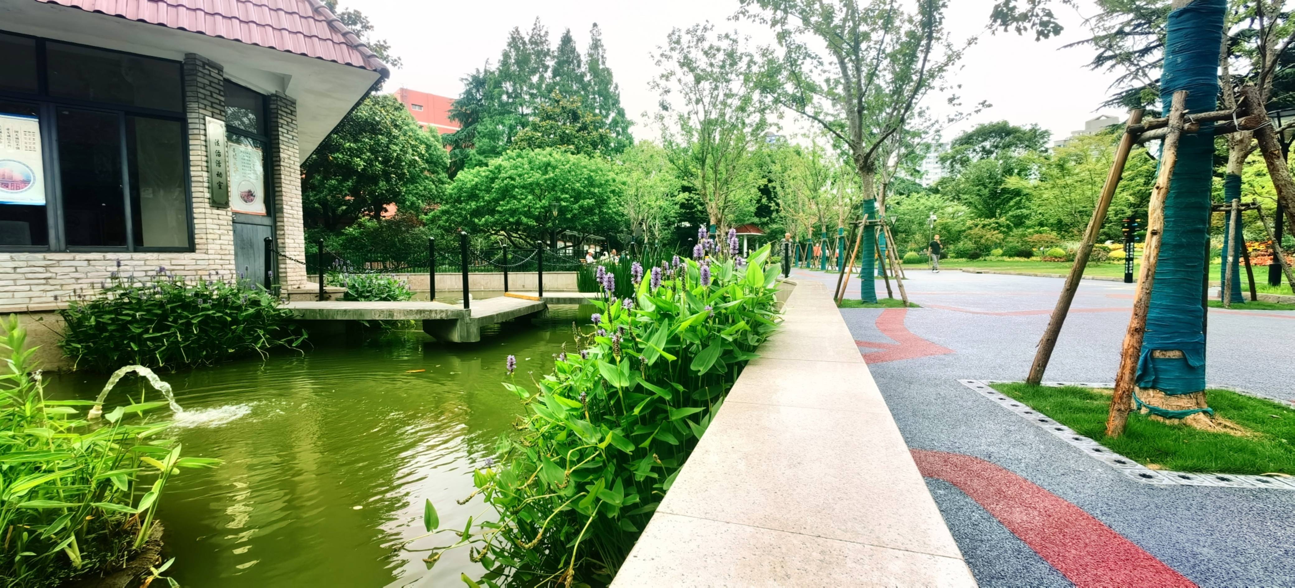 新体育广场项目简介(2023;上海普陀新体育广场房价走势)_配套_公园