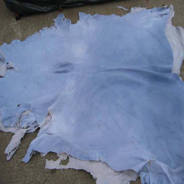 蓝湿山羊皮进口清关/报关指南_货物_查验_加工