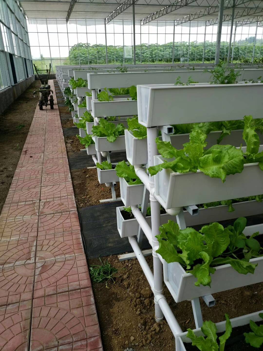 现代农业中的立体种植槽:开启高效农业新篇章