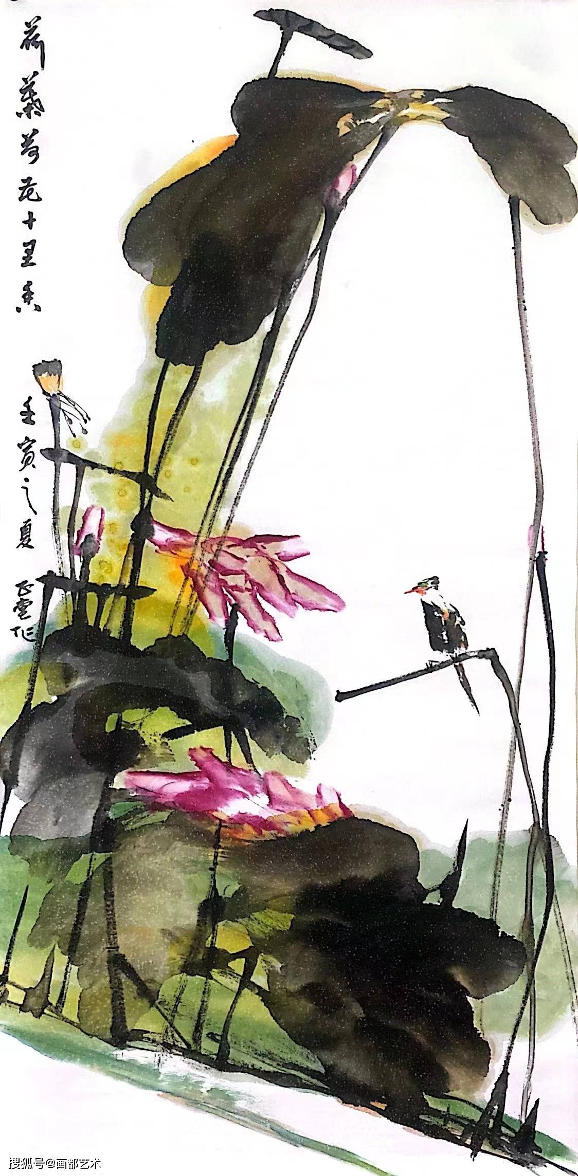 张云生亲传画荷弟子——墨云(胡正堂)_作品_徐州_著名画家