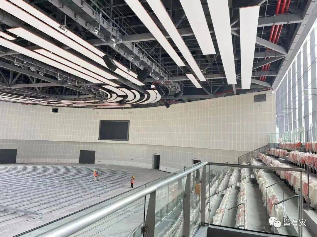 今年,南宁还有一件大事要干→_学青_比赛_项目