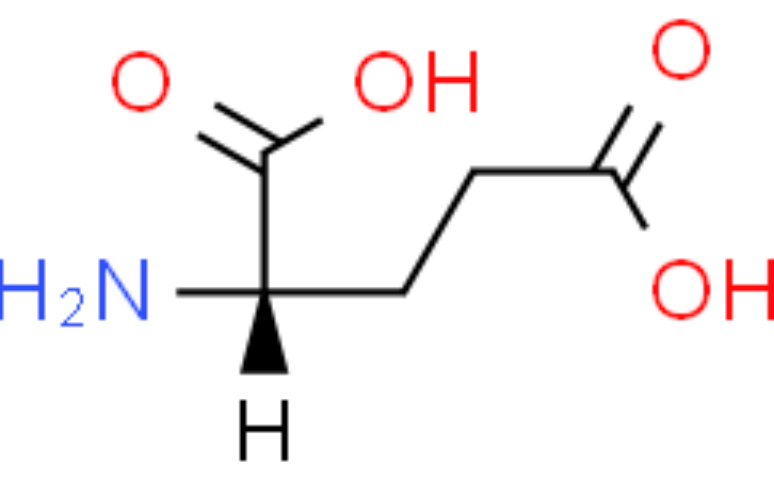 acid—对 da 从多巴胺能神经末梢释放的过程有激动作用_谷氨酸_数量