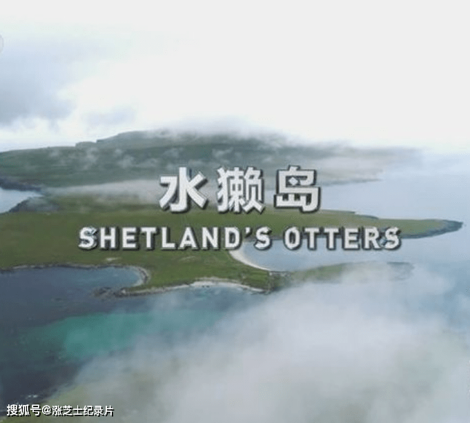 9746-央视纪录片《水獭岛 Shetland’s Otters》国语中字 央视译制 1080P/MP4/3.09G 设得兰群岛