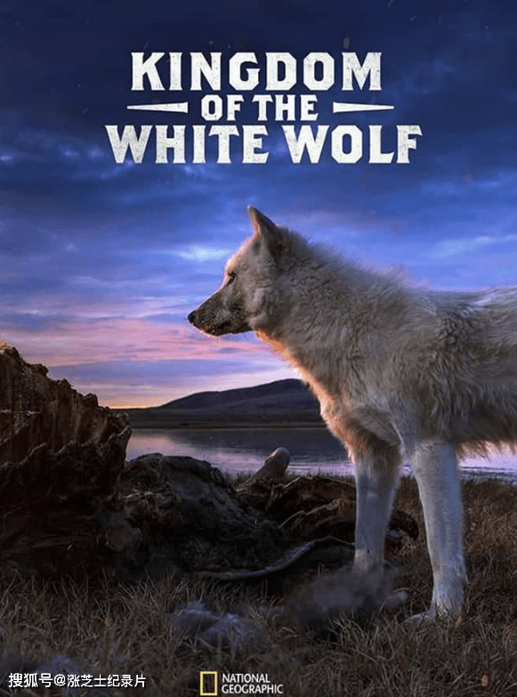 10055-国家地理《白狼国度 Kingdom of the White Wolf 2019》全3集 英语中英双字 官方纯净版 1080P/MKV/12.2G 狼的魅力
